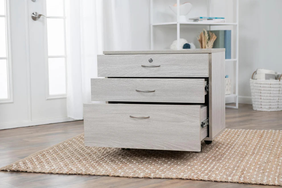 Koala - Companion Chest