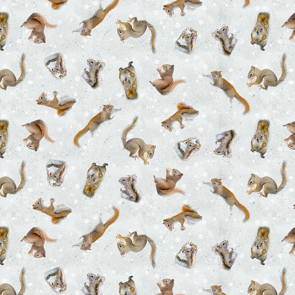 Clothworks Fabrics - The Secret Life of Squirrels II, Tossed Squirrels, Mist Gray || SOLD BY THE HALF YARD