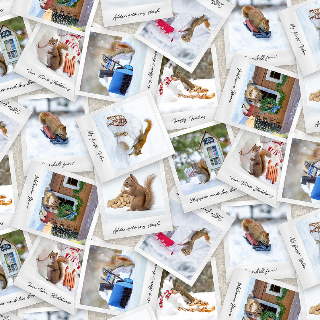 Clothworks Fabrics - The Secret Life of Squirrels II, Photos and Snapshots, Multi Color || SOLD BY THE HALF YARD