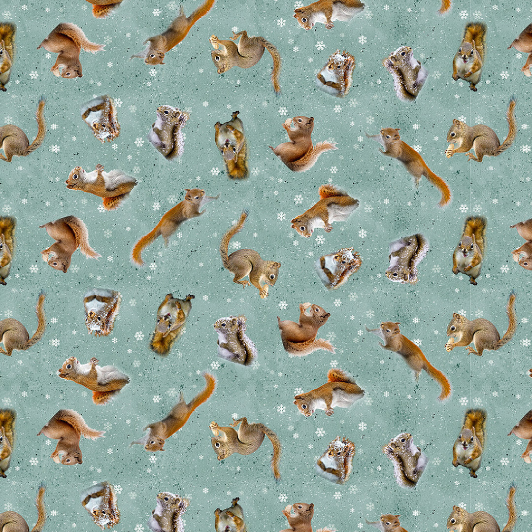 Clothworks Fabrics - The Secret Life of Squirrels, Tossed Squirrels, Teal || SOLD BY THE HALF YARD