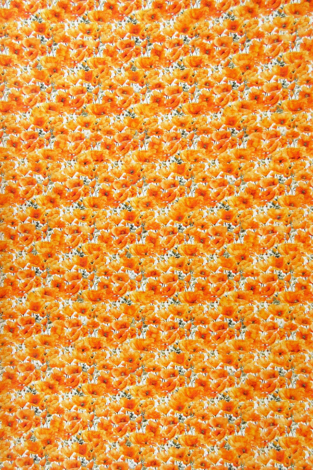 Quilting Treasures Fabric - California Dreaming, Poppies, Orange || SOLD BY THE HALF YARD