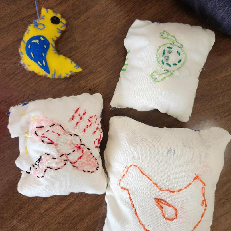 Santa Rosa - Kids Hand Sewing and Embroidery - 20 Mar 2026